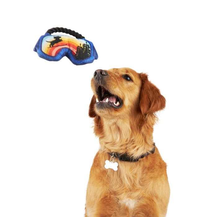 Petco Ski Goggles Dog Toy - Healthber