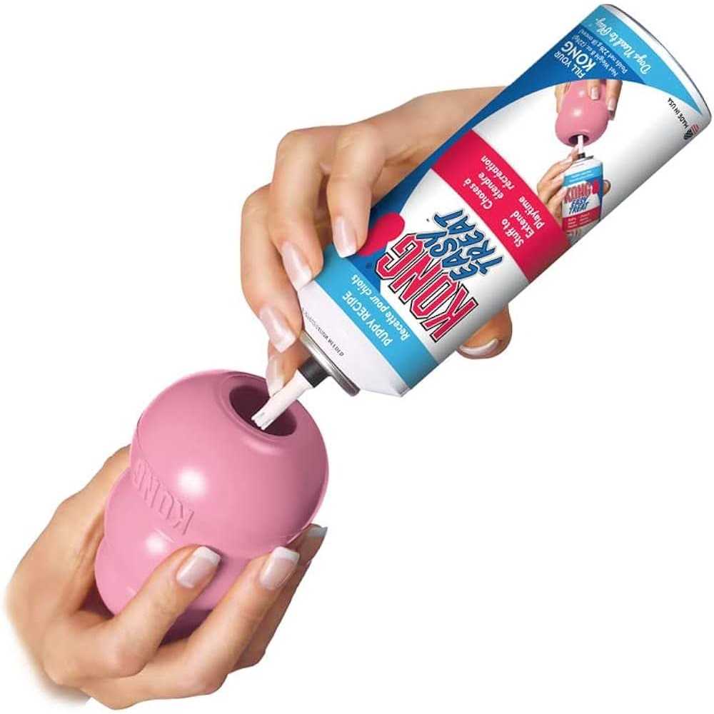 KONG Puppy Toy - Healthber