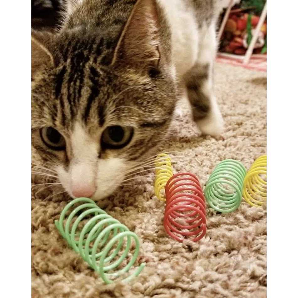 Spot Colorful Springs Cat Toy Thin - Healthber