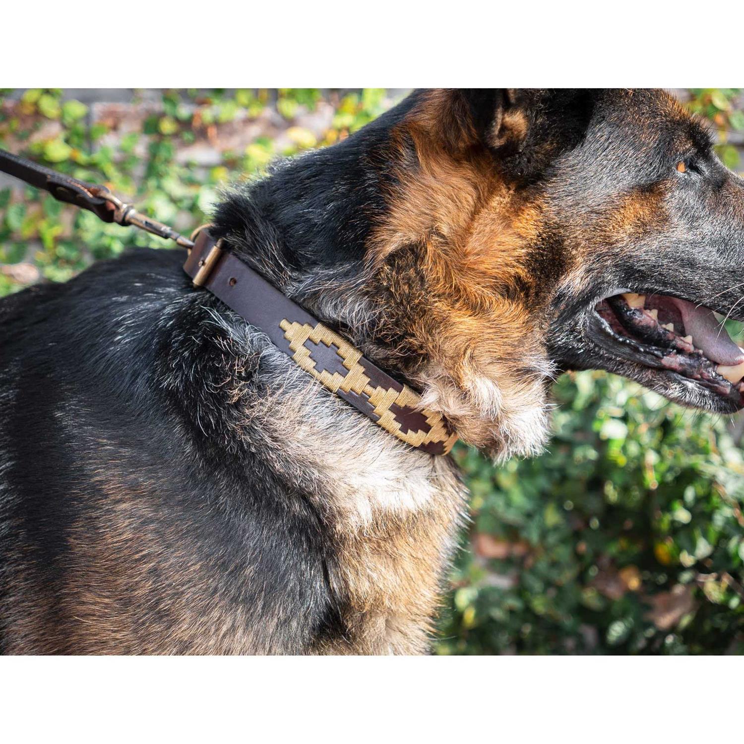 GauchoLife Polo Dog Collar Leather Hand-Stitched - Healthber