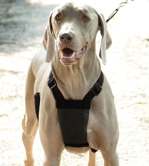Sporn Non-Pulling Mesh Harness, Large/X-Large - Healthber