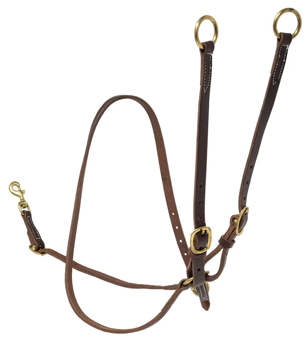 Poplar Head Premium Oiled Harness Leather Training Martingale - Healthber