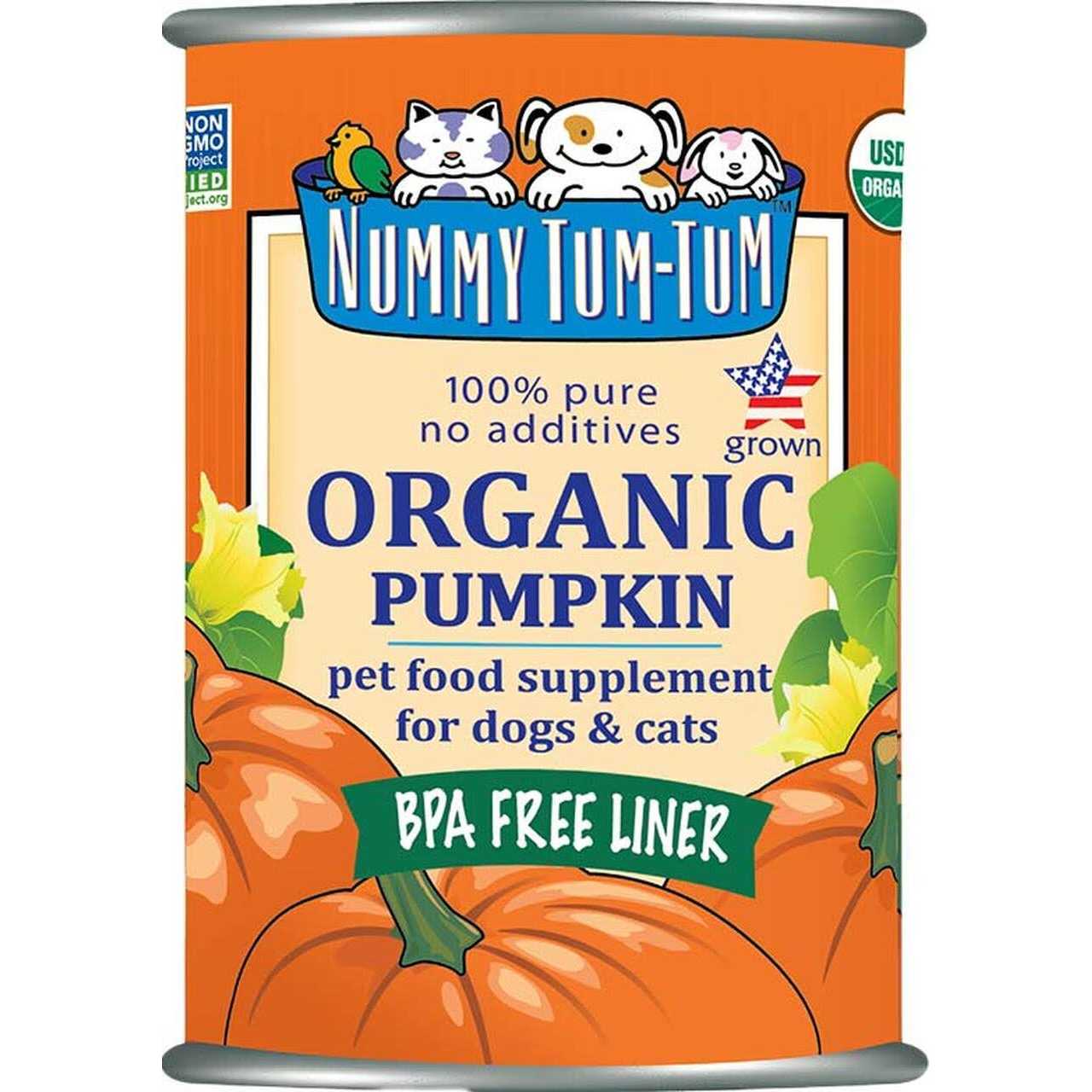 Nummy Tum-Tum Organic Pumpkin - Healthber