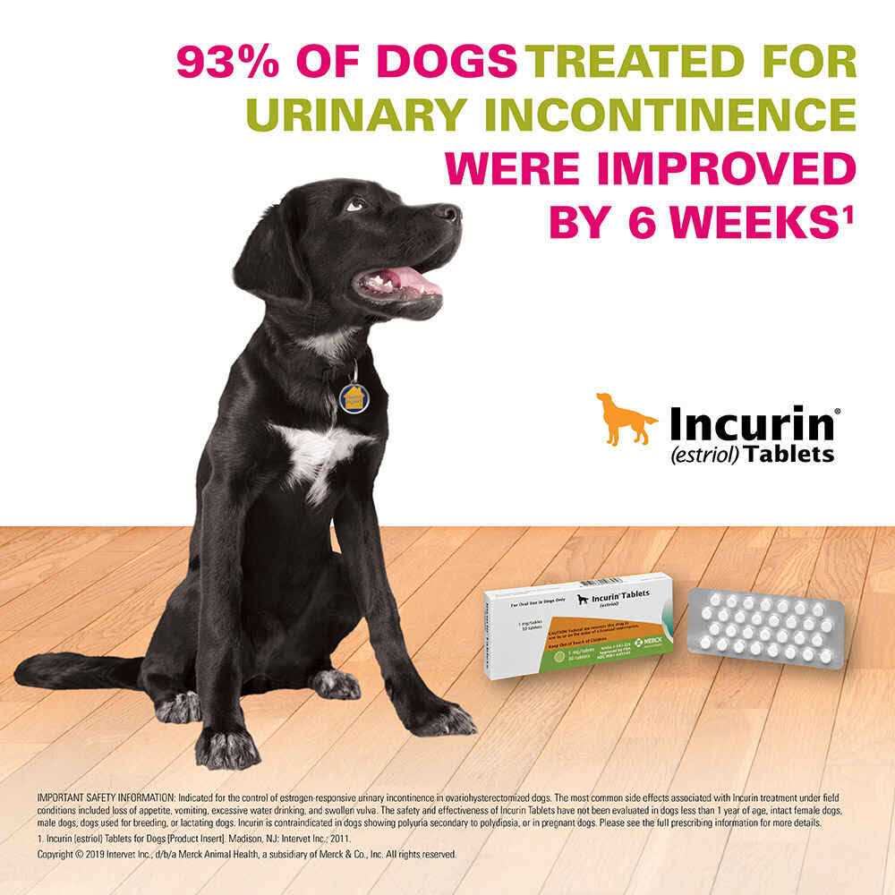 Incurin Tablets for Dogs - Healthber