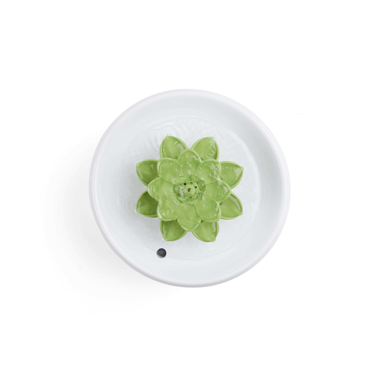 EveryYay Get Fresh Succulent Pets Water Fountain - Healthber