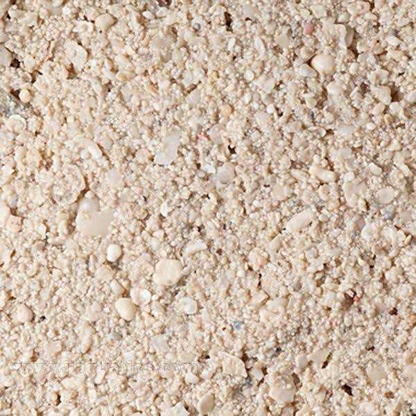 CaribSea Ocean Direct Caribbean Live Aquarium Sand - Healthber
