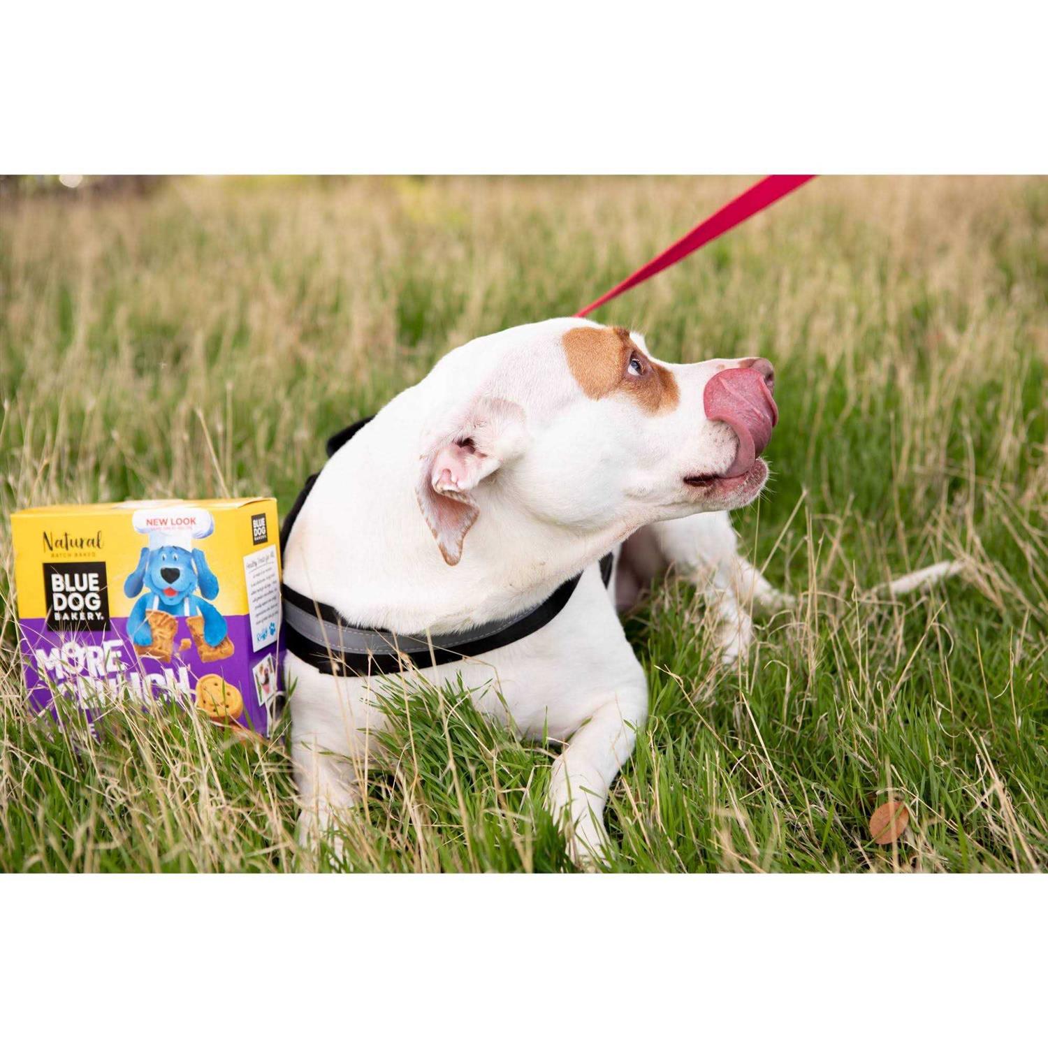 Blue Dog Bakery More Crunch Assorted Flavors Dog Treats - Healthber