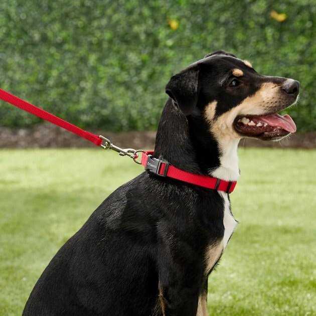 Frisco Solid Nylon Dog Leash - Healthber