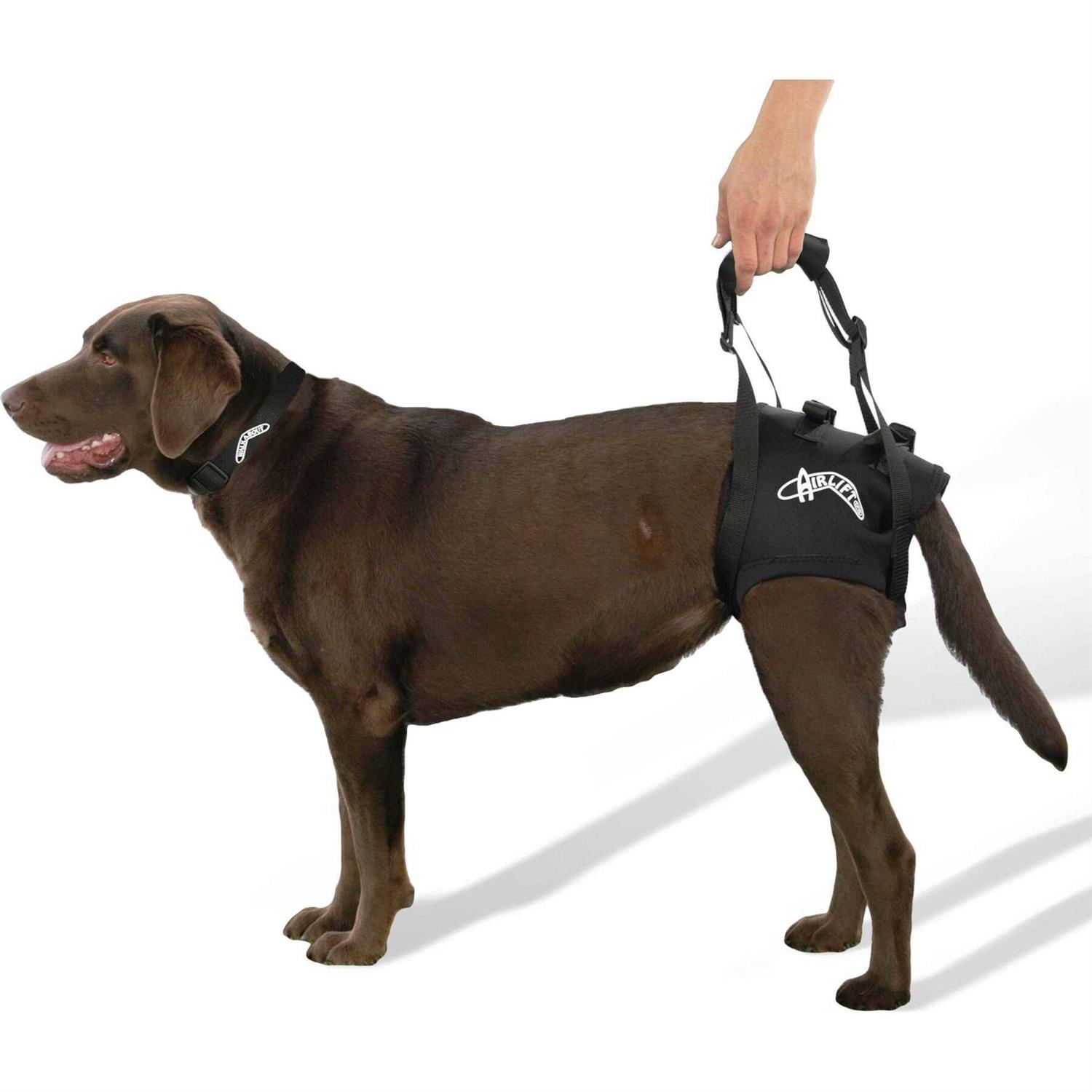 Walkabout Airlift One Support Harness - Healthber