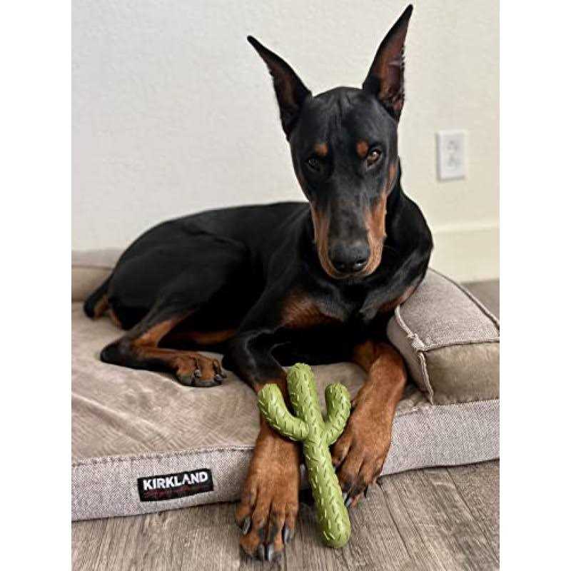 Carllg Puppy Teething Chew Toys, Dog Chew Toys Corn Stick Tough Toys for Training and Cleaning Teeth - Healthber