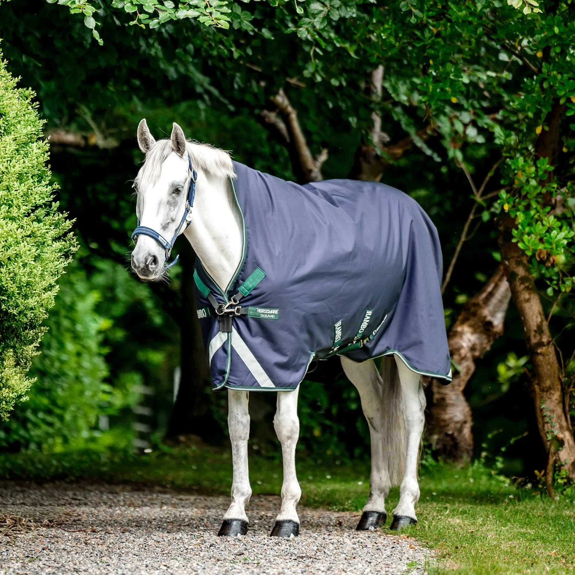 Rambo Wug Turnout, 400 gram, Navy/Hunter Green - Healthber