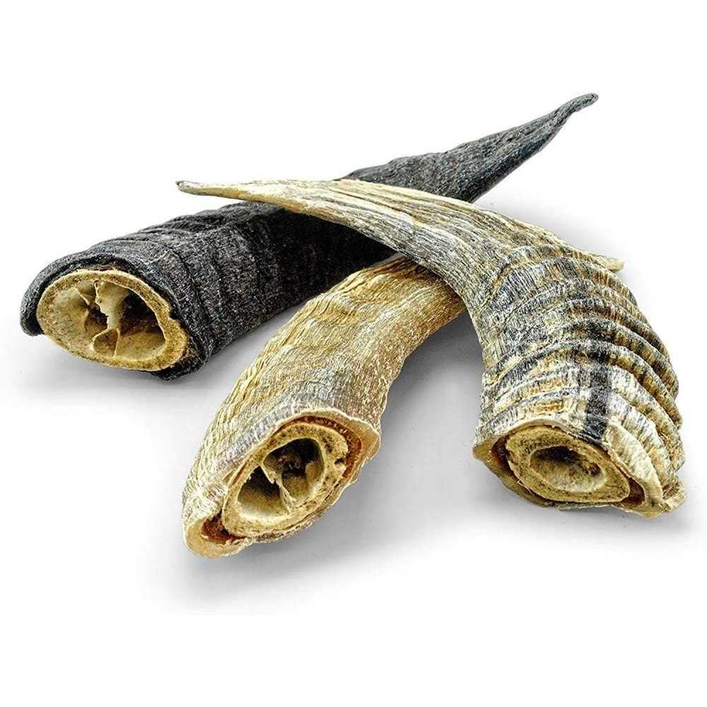 Icelandic+ Small Lamb Horn with Marrow Dog Chew - Healthber