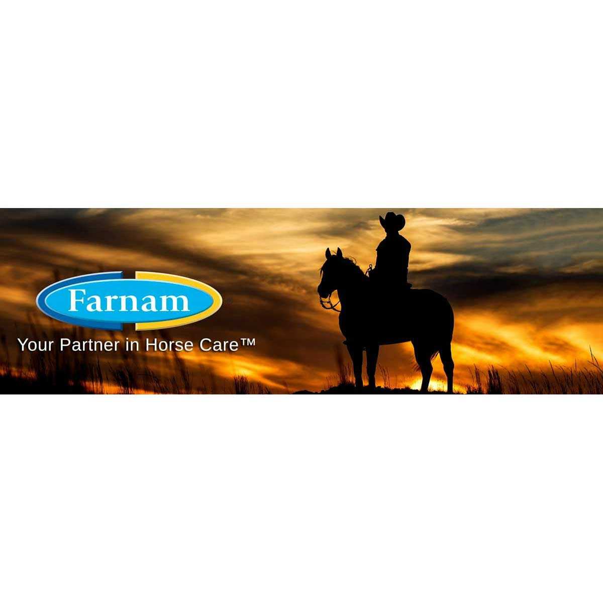 Farnam No Chew Spray - Healthber