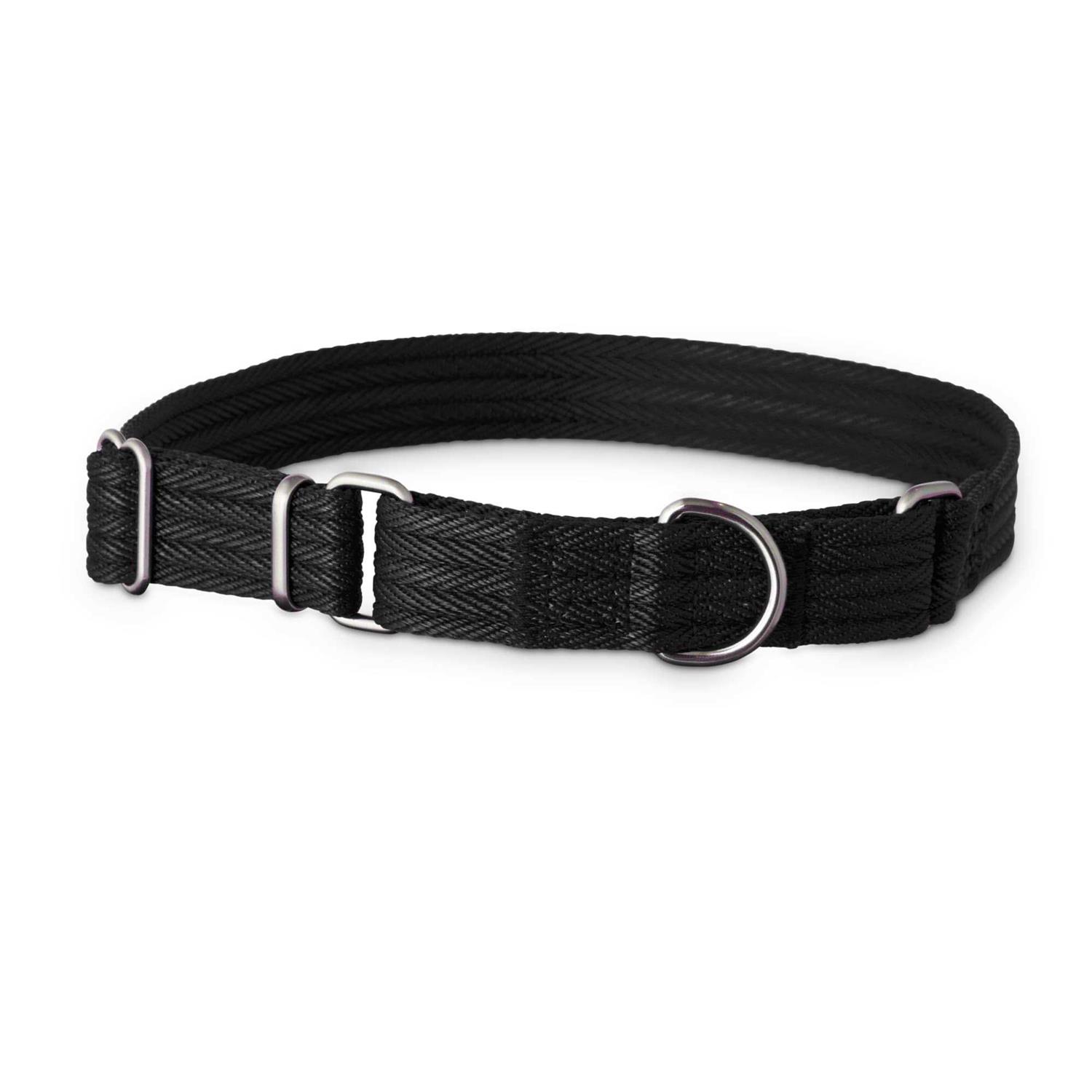 EveryYay Martingale Dog Collar - Healthber
