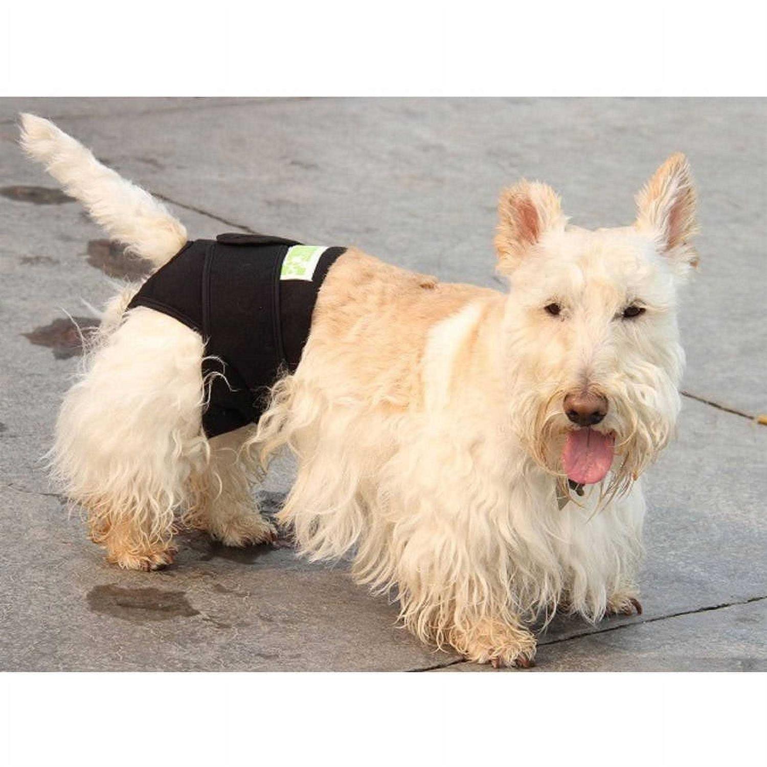 Healers Body Rear Module Dog Wrap - Healthber