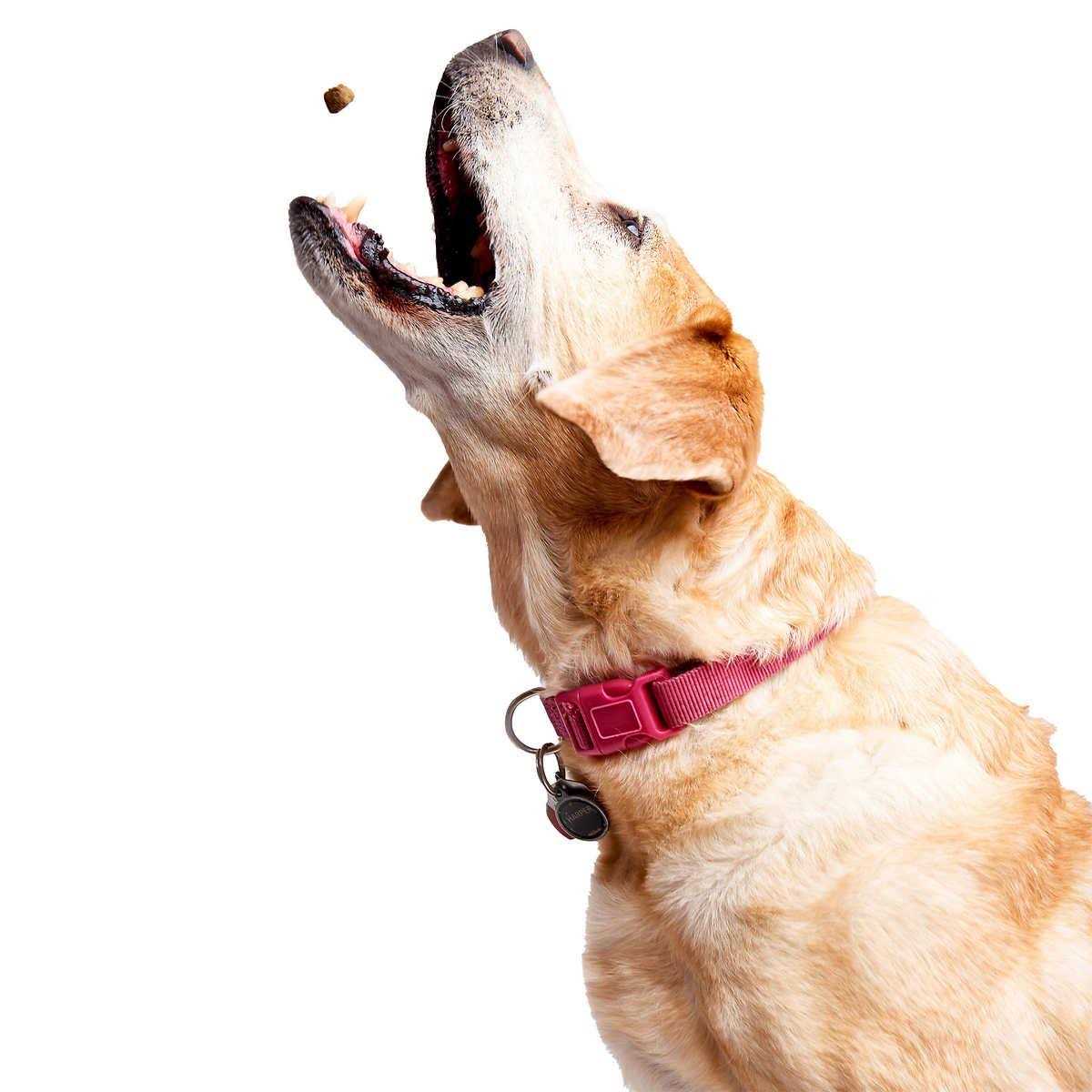 Zesty Paws 8-in-1 Bites - Healthber
