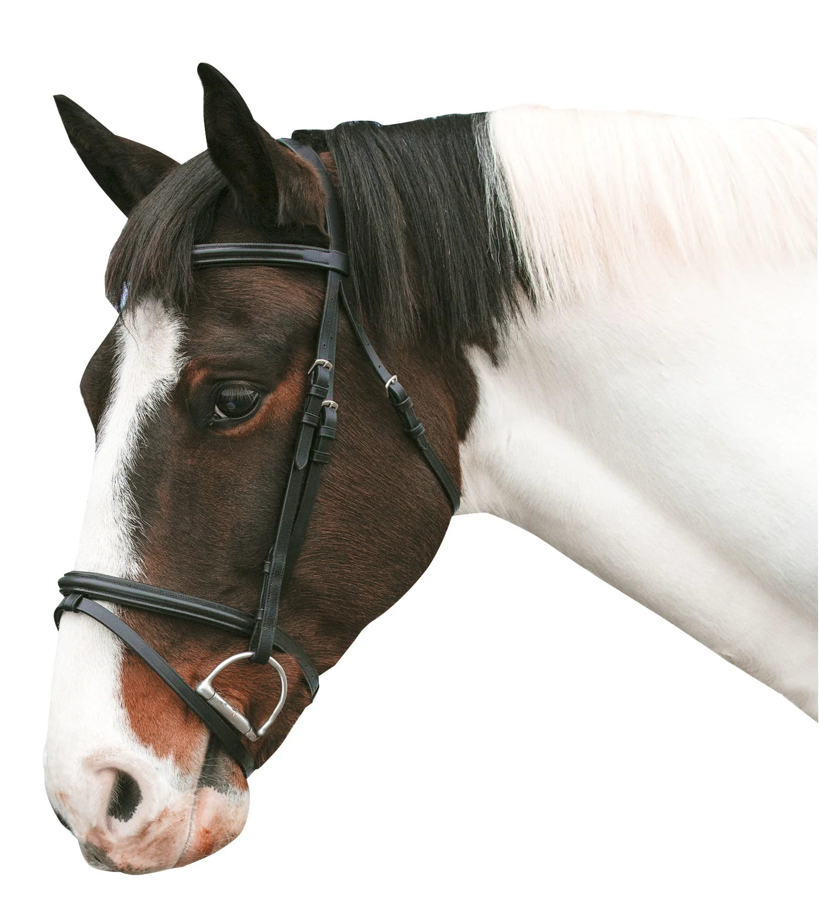 Loveson Horse Bridle - Healthber