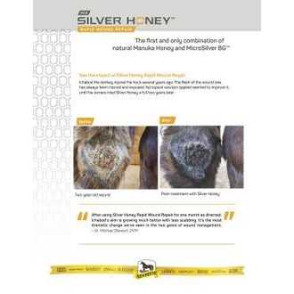 Silver Honey Rapid Skin Relief Medicated Shampoo - Healthber