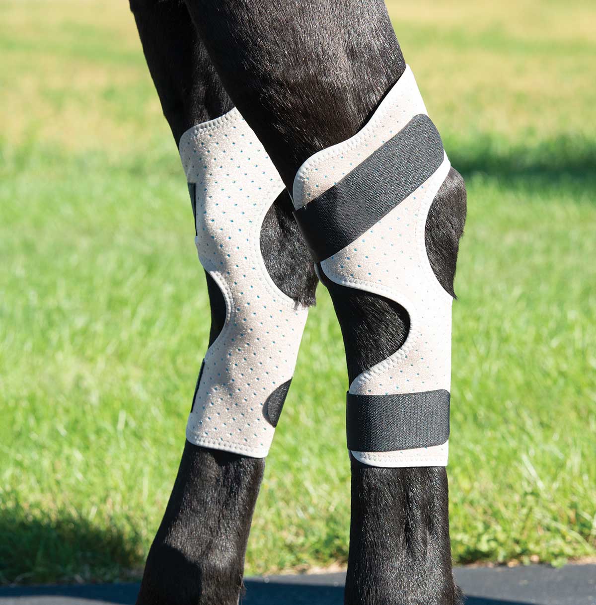 CoolCore Equine Icing and Cooling Hock Wraps - Healthber