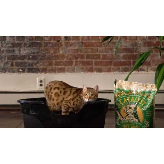 Catalyst Cat Litter Soft Wood - Healthber