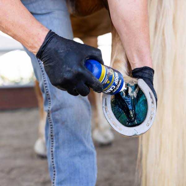Vetericyn Mobility Hoof Care - Healthber