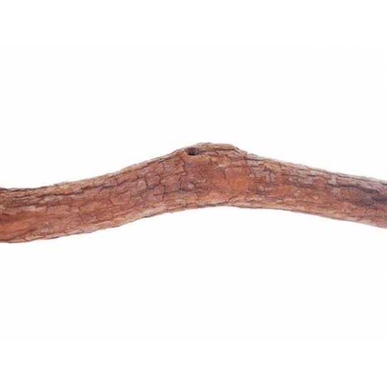 Polly’s Full Length Hardwood Bird Perch - Healthber