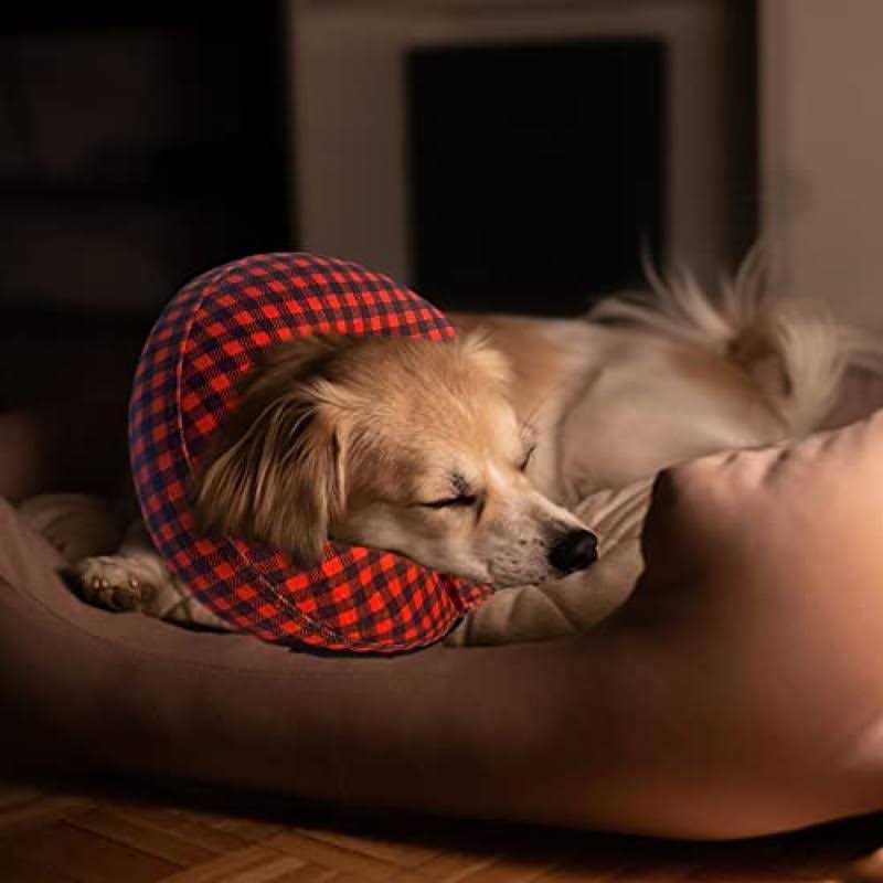 Katoggy Inflatable Dog Collar, Soft Dog Cone for Dogs After Surgery, Adjustable Blow up Donut E-Collars for Small Medium - Healthber