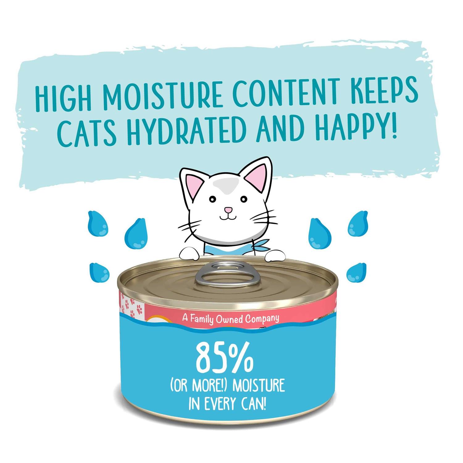 Weruva Classic Paté Cat Food The Mix & Match Game Variety Pack - Healthber