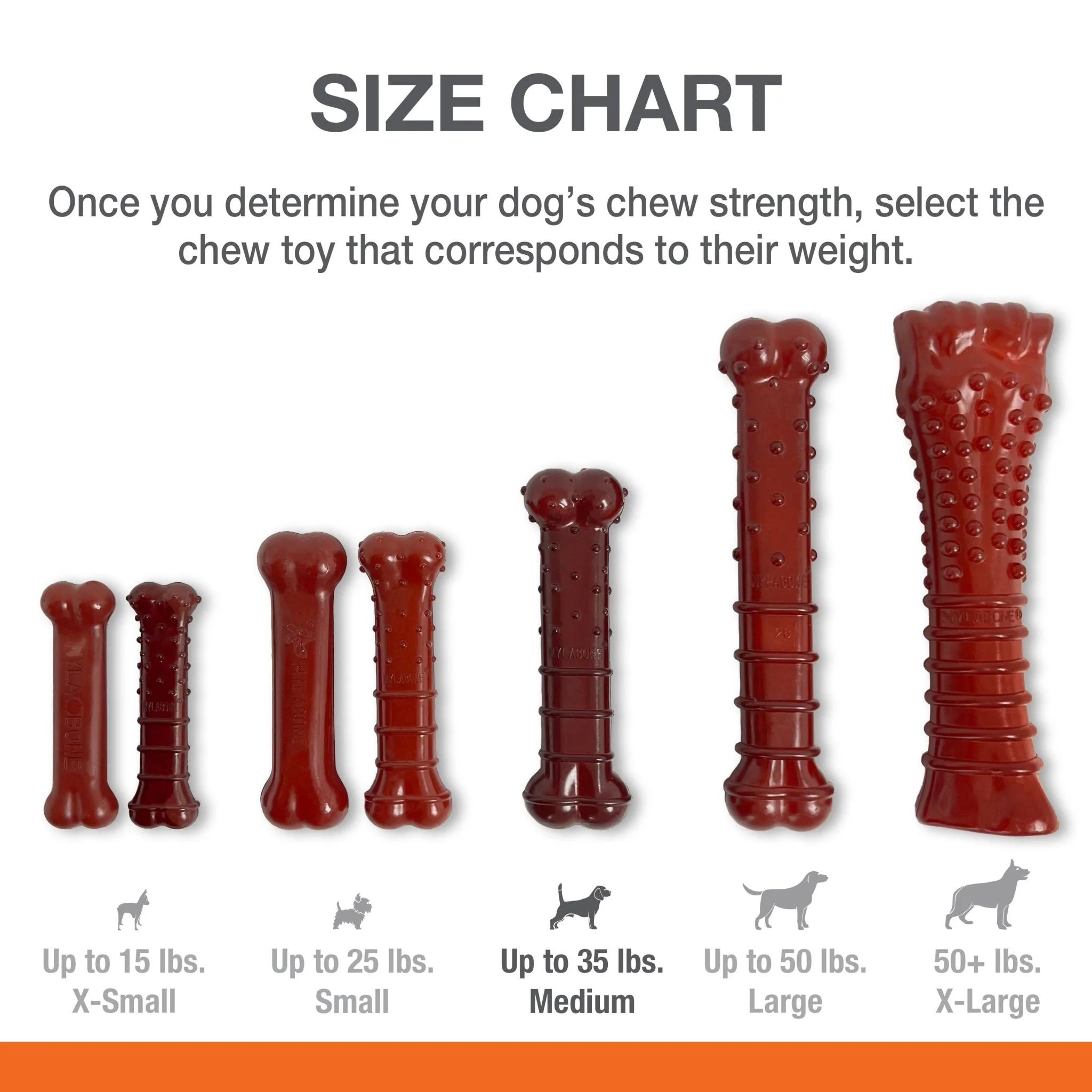Basted Blast Dual Flavored Power Chew, Bacon Basted Steak - Healthber
