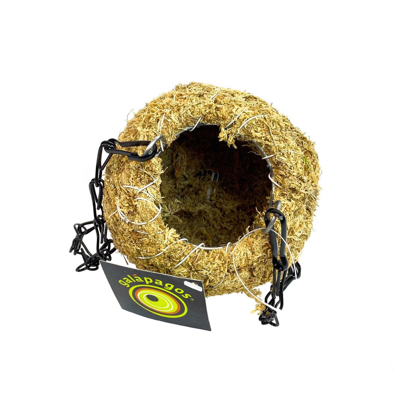 Galapagos 4 Mossy Cave - Healthber