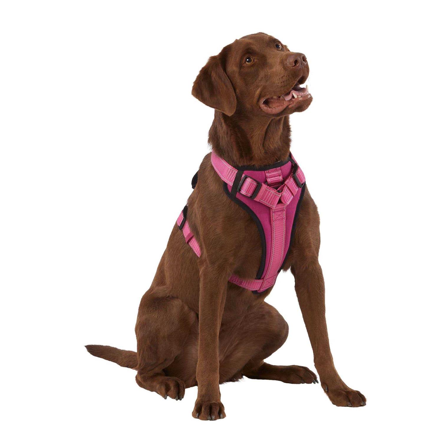 KONG MAX Neoprene Padded Dog Harness - Healthber
