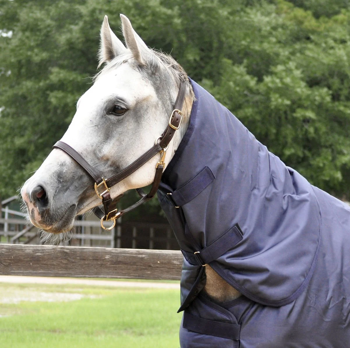 Waterproof Neck Rug for Horses, 1680 Denier - Healthber