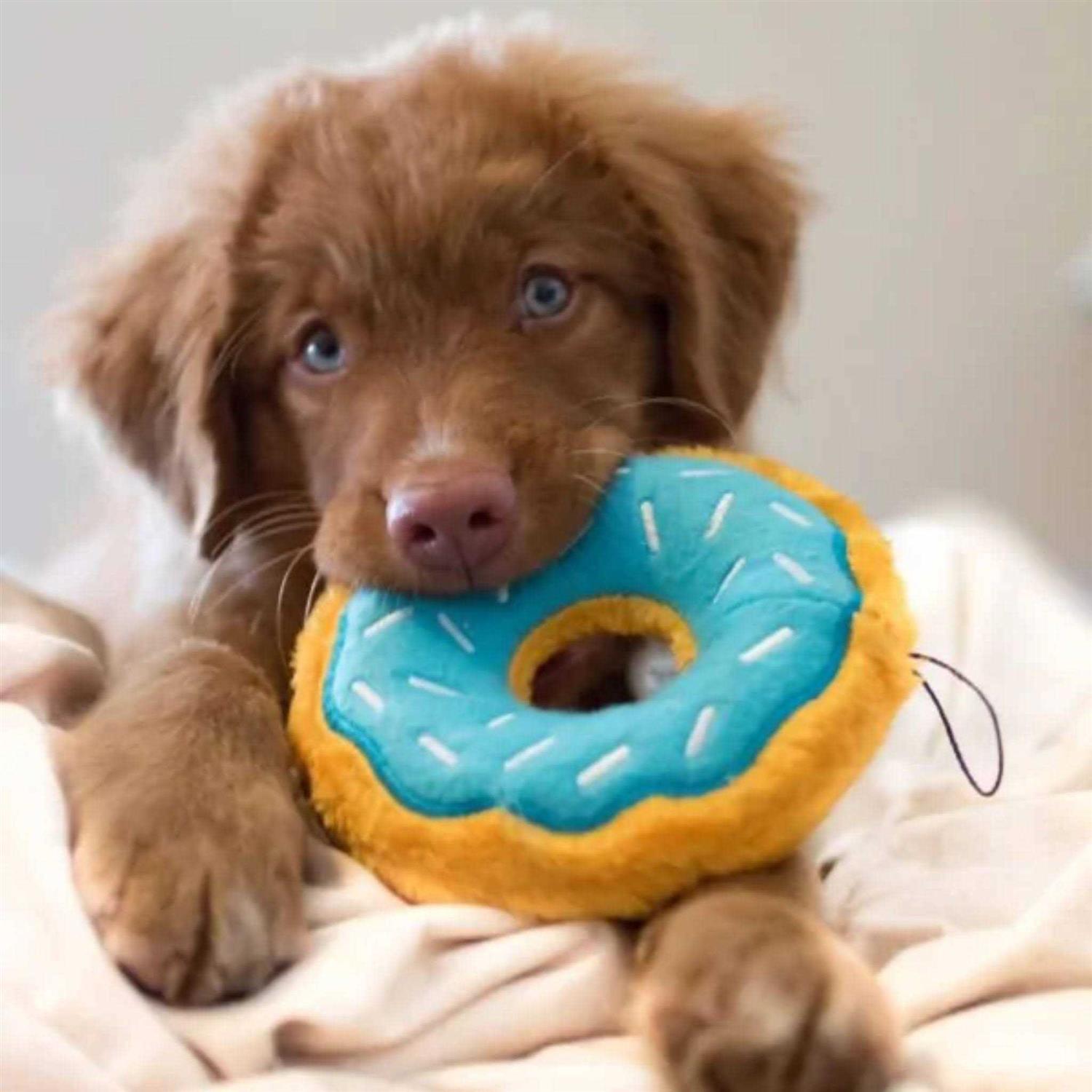 ZippyPaws Donutz Dog Toy - Healthber