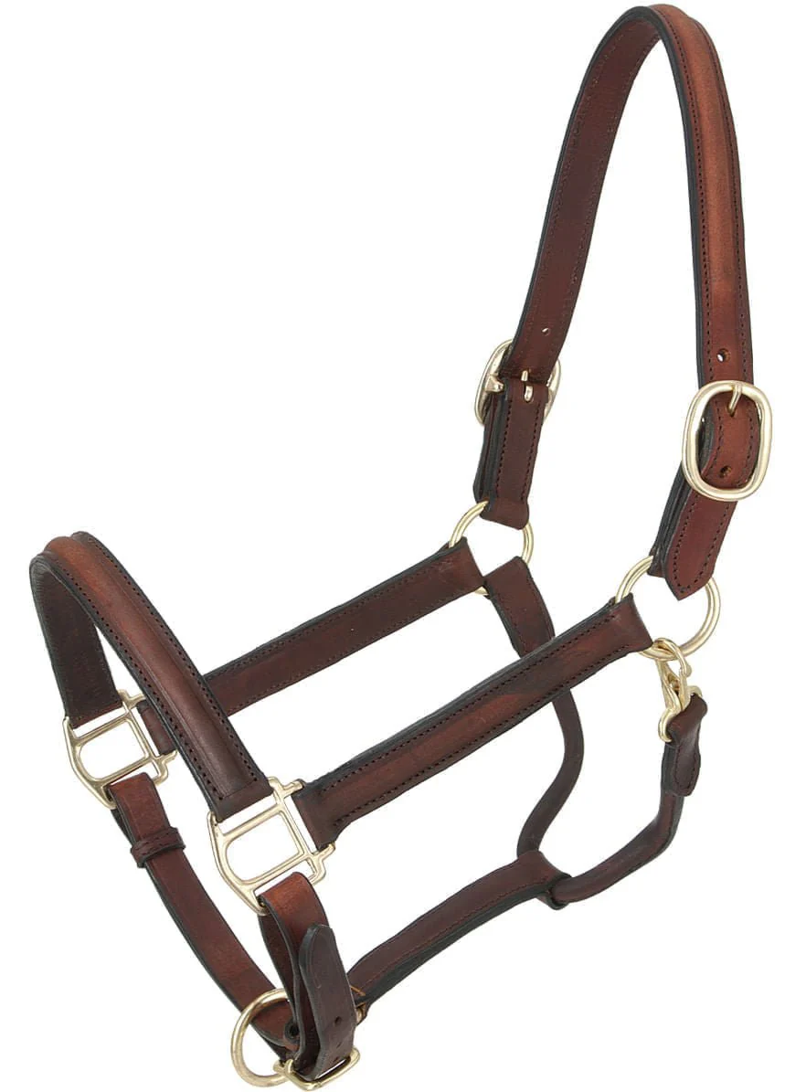 Royal King Raised Leather Halter - Healthber