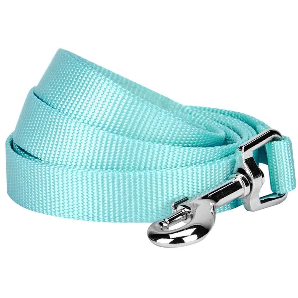 Blueberry Pet Classic Dog Leash - Healthber