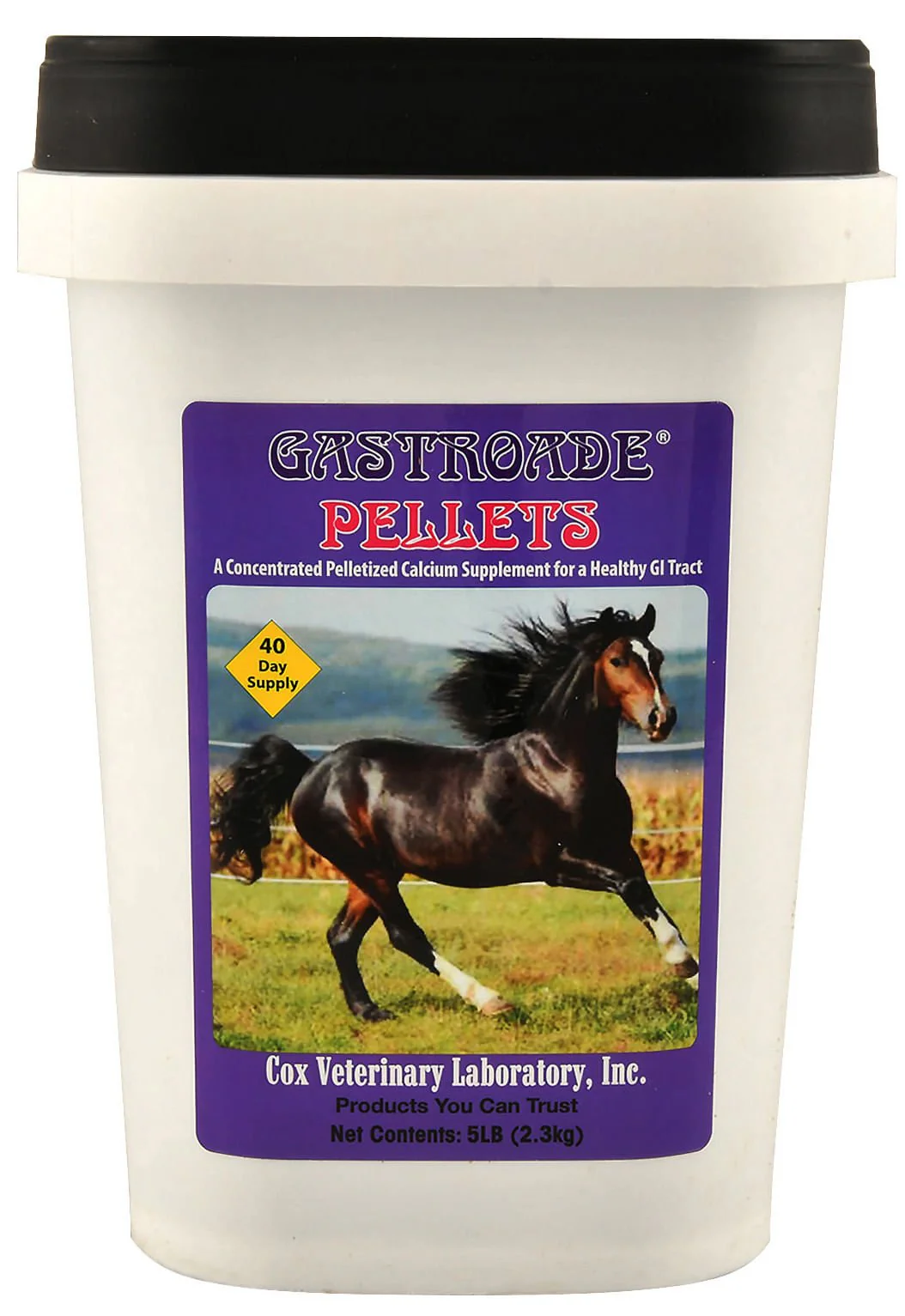 Gastroade Pellets for Healthy GI Tract in Horses - Healthber