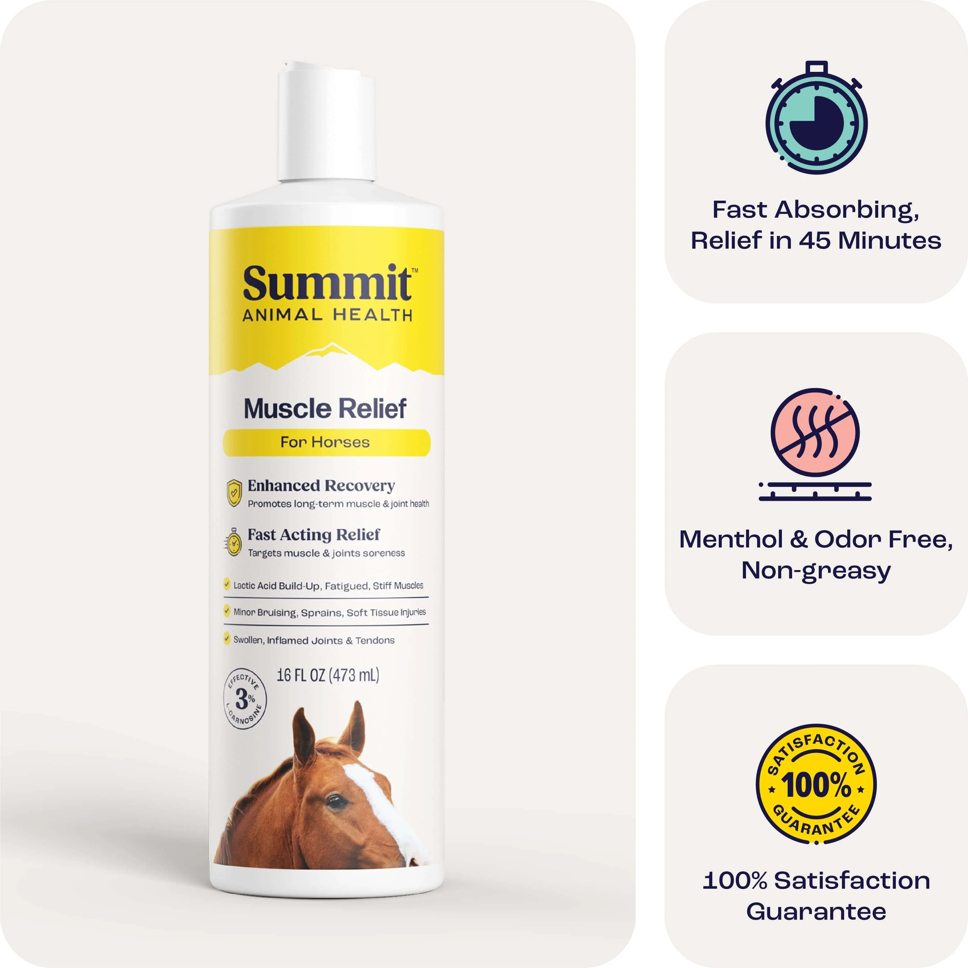 Summit Animal Health - Muscle Relief for Horses, 16 oz - Healthber