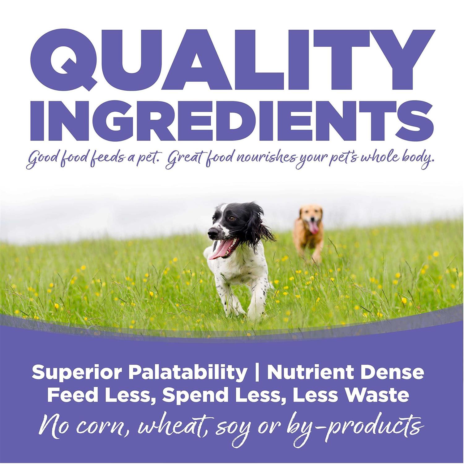 NutriSource Chicken Rice Small Medium-Breed Puppy Dry Dog Food - Healthber