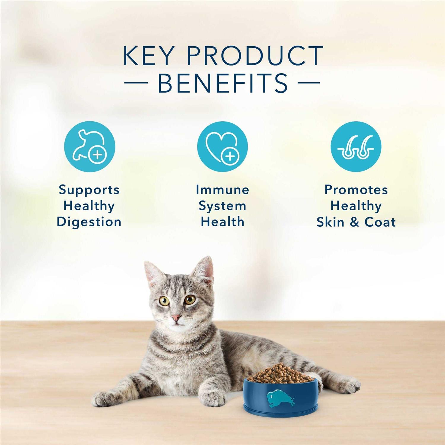 BLUE Basics Grain-Free Adult Indoor Dry Cat Food - Healthber