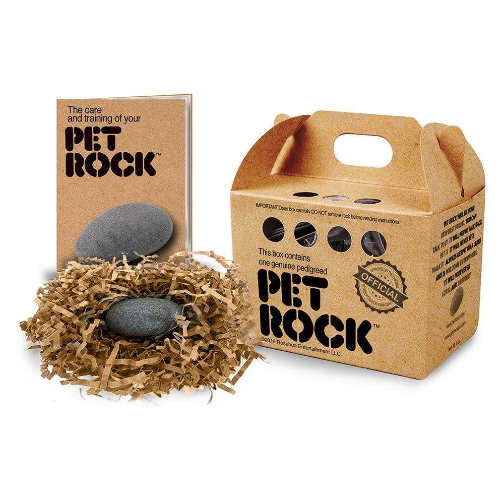 Pet Rock The Original by Gary Dahl - Healthber
