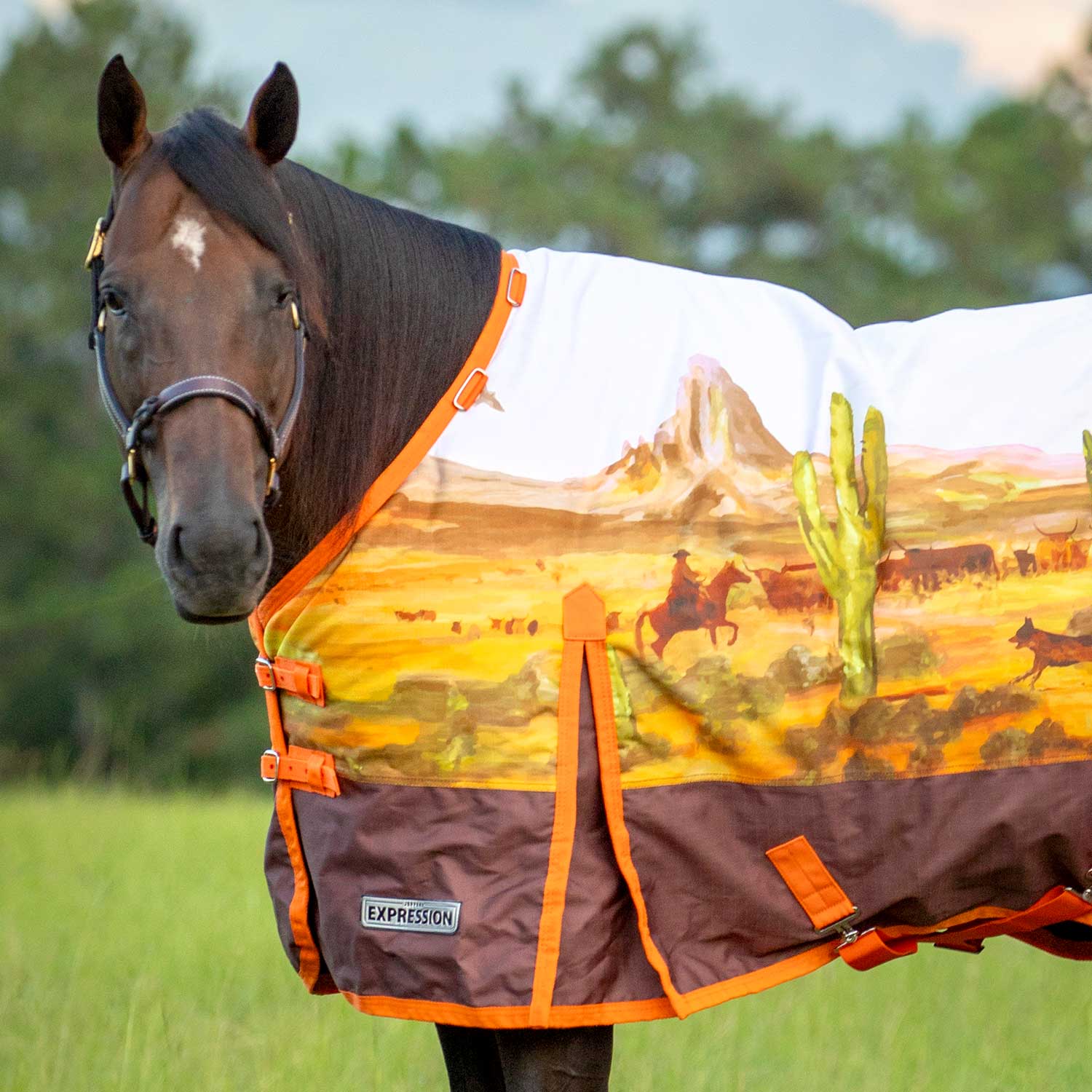 Expression 1200 Denier Standard Neck Turnout Blanket, 240 Gram, Cattle Drive - Healthber