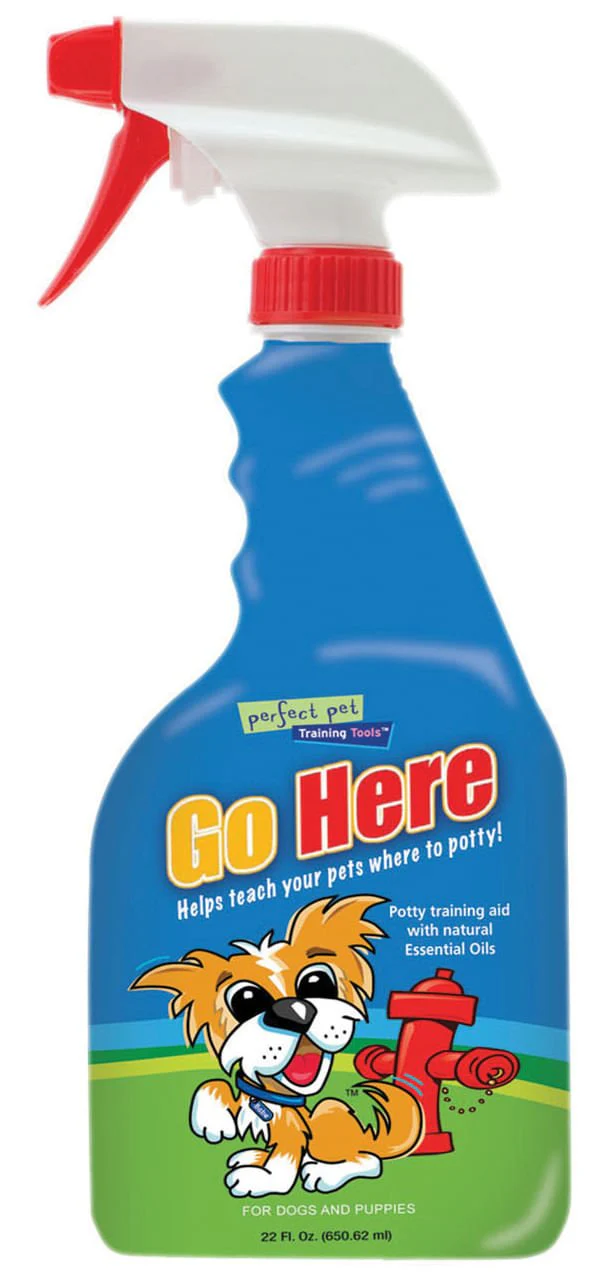 Go Here!, 22 oz - Healthber