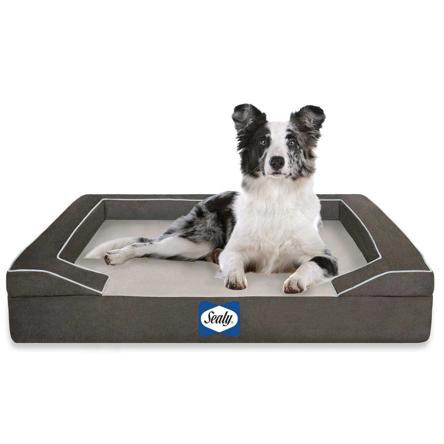 Sealy Lux Orthopedic Memory Foam Dog Bed - Healthber
