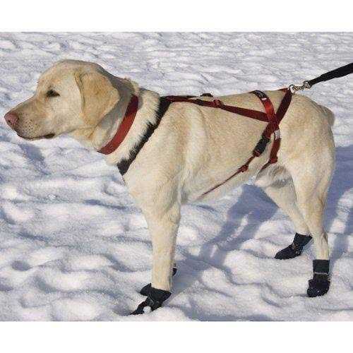 Ultra Paws One Harness - Healthber