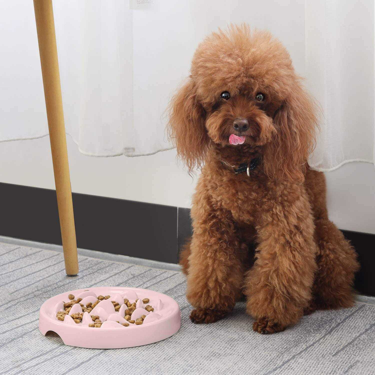 Slow Feeder Bowl for Cats and Small Dogs,Cilkus Fish Pool Design - Healthber