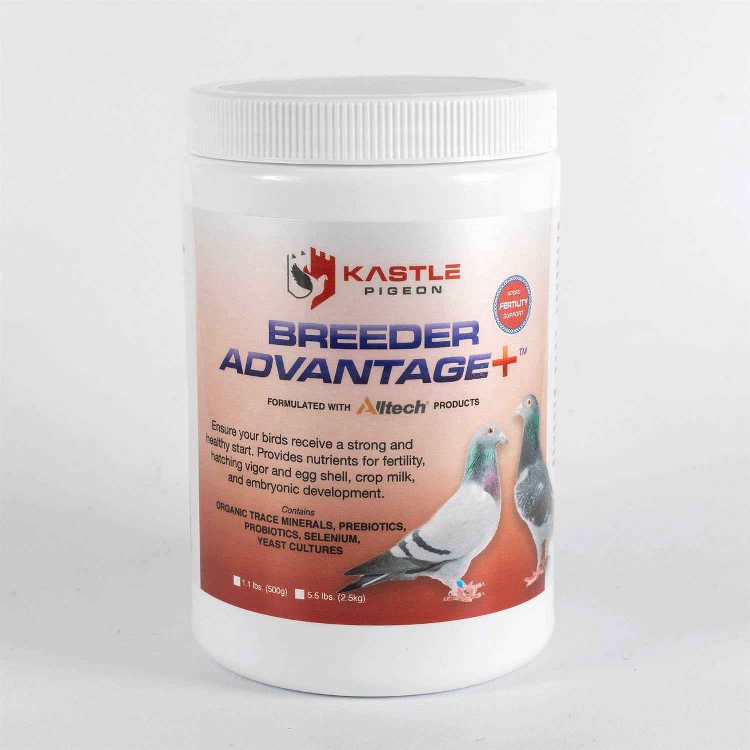 Kastle Pigeon Breeder Advantage 500 g - Healthber