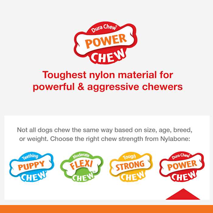 Nylabone Power Basted Blast Dual Flavored Dog Chew Toys - Healthber