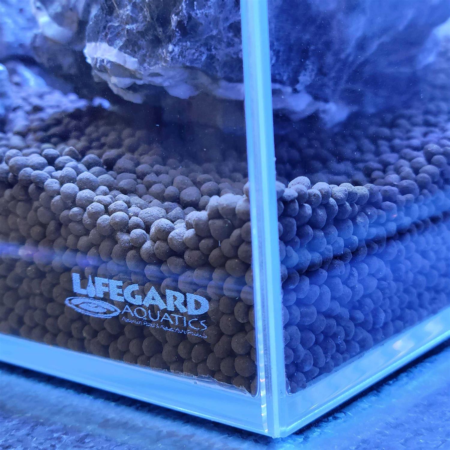 Lifegard Long Clear Glass Bookshelf Aquarium - Healthber