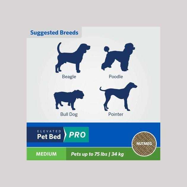 Coolaroo Cooling Elevated Pet Bed Pro - Healthber