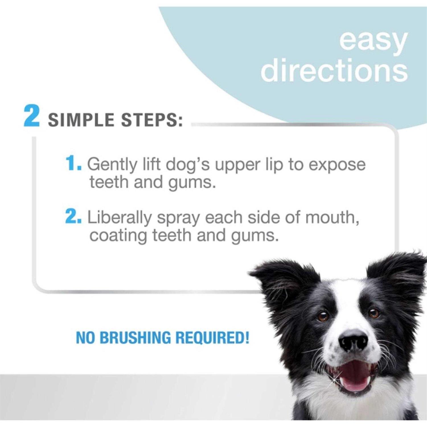 Nylabone Advanced Oral Care Dental Spray - Healthber